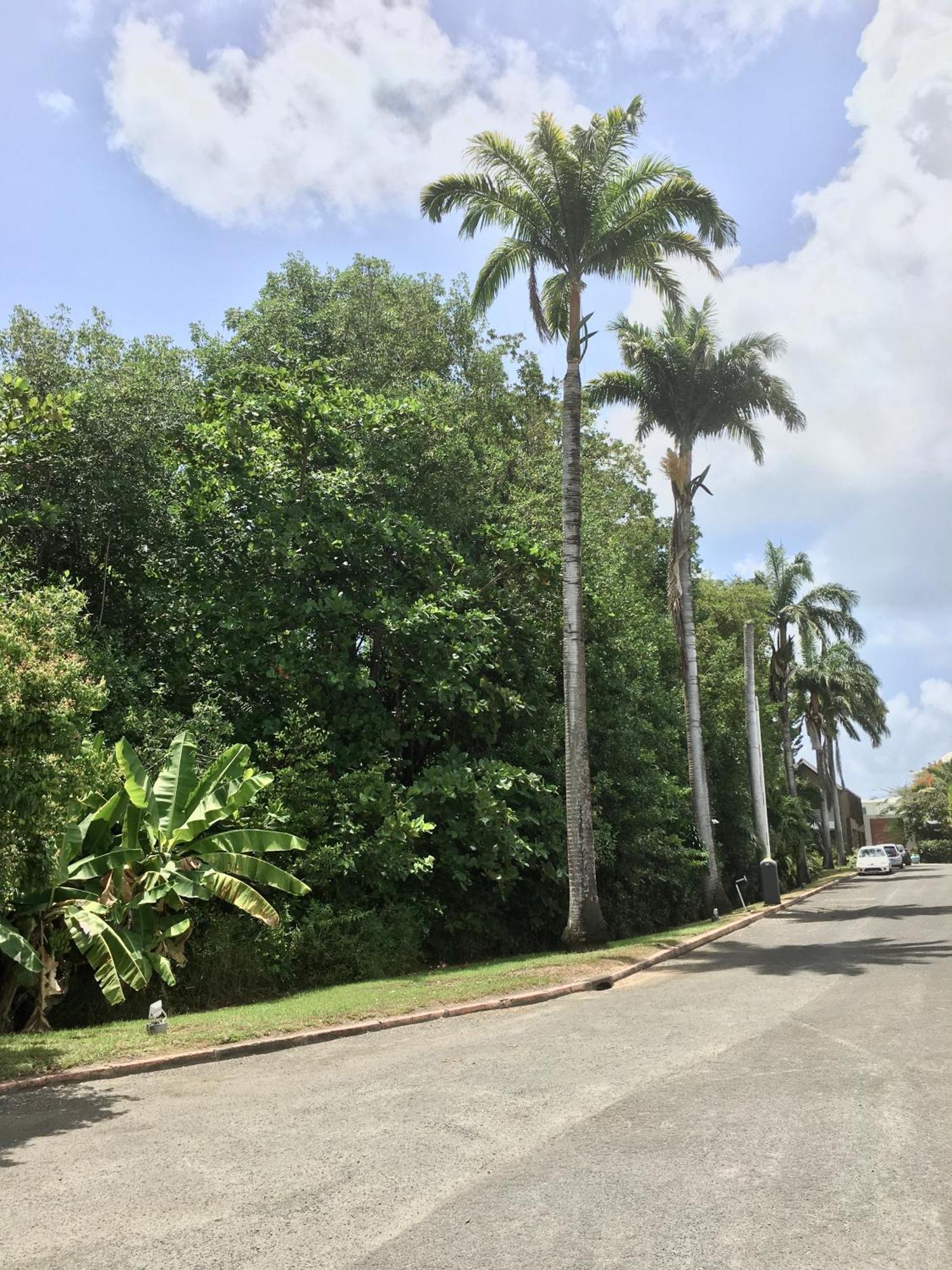 Appartement St Francois Manganao Guadeloupe Сен Франсоа Екстериор снимка